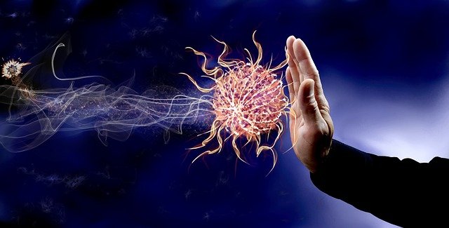 Apa itu Sistem Imun Tubuh dan Bagaimana Cara kerjanya?